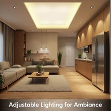 Carregar imagem no visualizador da galeria, 75W Potted Halogen Lamp New Transformers