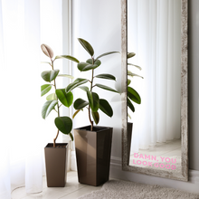 Carregar imagem no visualizador da galeria, Statement Mirror Decal