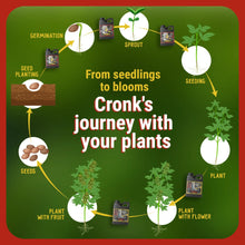 Load image into Gallery viewer, Bonnie & Clyde AutoFlower Nutrients Base Kit