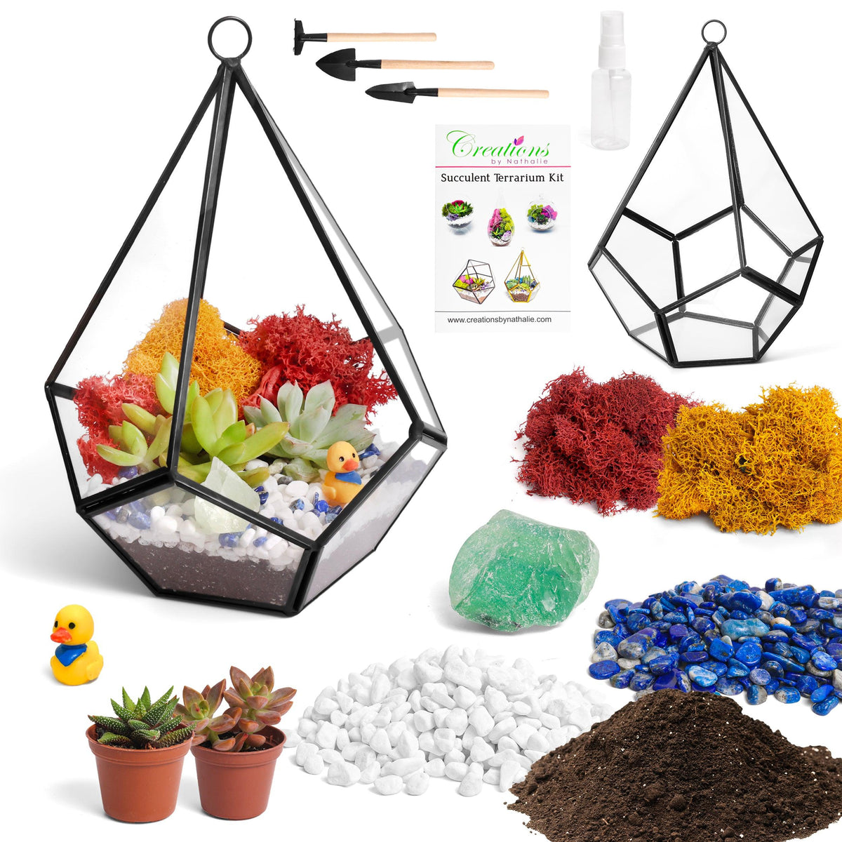 succulent geometric terrarium 8” Geometric Black Tear Glass Succulent Terrarium Kit