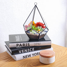 Carregar imagem no visualizador da galeria, 8” Geometric Black Tear Glass Succulent Terrarium Kit