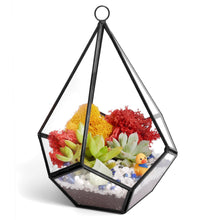 Carregar imagem no visualizador da galeria, 8” Geometric Black Tear Glass Succulent Terrarium Kit