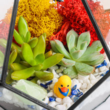 Carregar imagem no visualizador da galeria, 8” Geometric Black Tear Glass Succulent Terrarium Kit