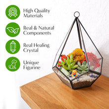 Carregar imagem no visualizador da galeria, 8” Geometric Black Tear Glass Succulent Terrarium Kit