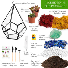 Carregar imagem no visualizador da galeria, 8” Geometric Black Tear Glass Succulent Terrarium Kit