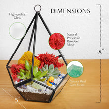 Carregar imagem no visualizador da galeria, 8” Geometric Black Tear Glass Succulent Terrarium Kit