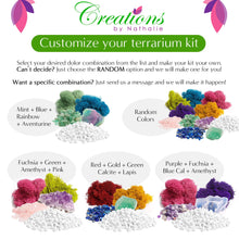 Carregar imagem no visualizador da galeria, 8” Geometric Black Tear Glass Succulent Terrarium Kit