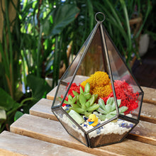 Carregar imagem no visualizador da galeria, 8” Geometric Black Tear Glass Succulent Terrarium Kit