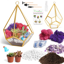 Carregar imagem no visualizador da galeria, 8” Geometric Gold Tear Glass Succulent Terrarium Kit