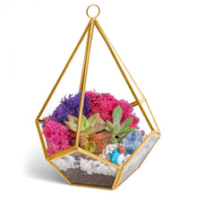 Carregar imagem no visualizador da galeria, 8” Geometric Gold Tear Glass Succulent Terrarium Kit