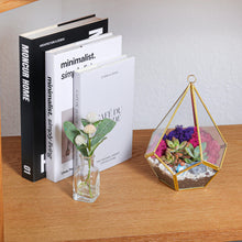 Carregar imagem no visualizador da galeria, 8” Geometric Gold Tear Glass Succulent Terrarium Kit