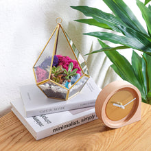 Carregar imagem no visualizador da galeria, 8” Geometric Gold Tear Glass Succulent Terrarium Kit