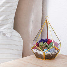 Carregar imagem no visualizador da galeria, 8” Geometric Gold Tear Glass Succulent Terrarium Kit