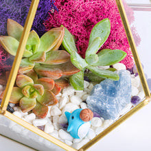 Carregar imagem no visualizador da galeria, 8” Geometric Gold Tear Glass Succulent Terrarium Kit