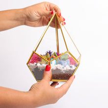 Carregar imagem no visualizador da galeria, 8” Geometric Gold Tear Glass Succulent Terrarium Kit