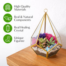 Carregar imagem no visualizador da galeria, 8” Geometric Gold Tear Glass Succulent Terrarium Kit