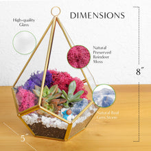 Carregar imagem no visualizador da galeria, 8” Geometric Gold Tear Glass Succulent Terrarium Kit