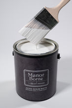Load image into Gallery viewer, Cotton Blossom - Manor Borne Wall Paint
