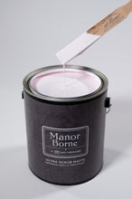 Carregar imagem no visualizador da galeria, Ballet Shoes - Manor Borne Wall Paint