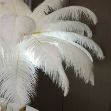 Load image into Gallery viewer, Ostrich Feather Table Lamp