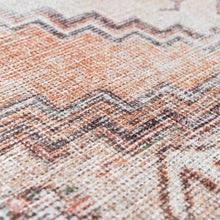 Carregar imagem no visualizador da galeria, Arncliffe Washable Area Rug - Promo
