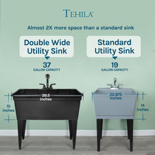 Cargar imagen en el visor de la galería, Tehila Freestanding Double-Wide Black Utility Sink with Steel Legs & Black Pull-Out Faucet, Multi-Purpose Heavy-Duty Laundry Tub and Kitchen Sink for Homes & Business