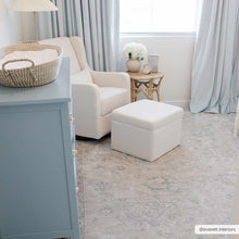 Load image into Gallery viewer, Albuquerque Area Rug