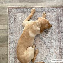 Load image into Gallery viewer, Analu Non-Slip Washable Rug