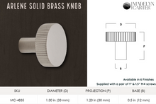 Carregar imagem no visualizador da galeria, Arlene Solid Brass Cabinet Knob