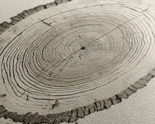 Carregar imagem no visualizador da galeria, Framed Canvas Print Wall Art Pastel Grunge Wood Tree Rings Abstract Illustrations Minimalist Modern Art Boho Decor Framed Canvas Print