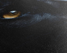 Load image into Gallery viewer, Beautiful Black Cat Portrait, Cat Photography, Framed Canvas Print, Framed Art, Halloween Witch Cat Art