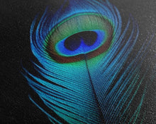 Carregar imagem no visualizador da galeria, A Lone Peacock Feather, Framed Canvas Print, Feather Photography, Beautiful & Colorful Peacock Art