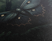 Carregar imagem no visualizador da galeria, Butterfly In Woods, Butterfly Wall Decor, Dark Art, Green Wall Art, Insect Wall Decor, Wall Decor, Canvas Print, Wall Art, Framed Canvas