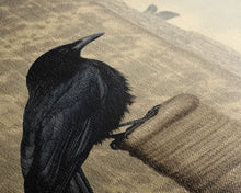 Load image into Gallery viewer, Black Bird Wall Art, Crow Wall Decor, Animal Wall Art, Nature Print, Modern Print, Wall Decor, Canvas Print, Wall Art, Framed Canvas