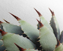 Load image into Gallery viewer, Desert Cactus Art Print, Modern Home Decor, Framed Canvas Print Or Poster, Botanical Print Desert Art Cactus, Bathroom Or Bedroom Or Office