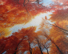 Carregar imagem no visualizador da galeria, Fall Wall Art, Trees Art Print, Nature Wall Art, Canvas Print, Wall Art, Vertical Art, Nature Lover Gift, Modern Office Art, Living Room Art