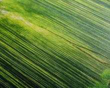 Load image into Gallery viewer, Beautiful Photographic Panoramic of Arashiyama Bamboo Grove Kyoto Japan, Framed Canvas Print, Landscape Photography, Landmark Art