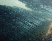 Carregar imagem no visualizador da galeria, Gloomy Spooky Forest, ready to hang canvas print wall art, Lakehouse Cabin Wall Decor