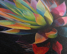 Carregar imagem no visualizador da galeria, Rainbow Agave, Southwest Art, Framed Canvas Print, Canvas Wall Art, Wall Art Prints, Southwestern Decor, Framed Art, Original Art