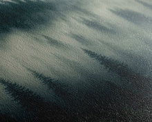 Carregar imagem no visualizador da galeria, Foggy pine forest, Canadian forest art, framed canvas print, farmhouse decor, misty forst landscape