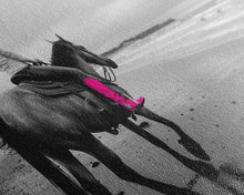 Carregar imagem no visualizador da galeria, Framed Canvas Print of Highland Cow in Winter Hat, Fun and Quirky Wall Art for Living Room or Bedroom, Unique Decor