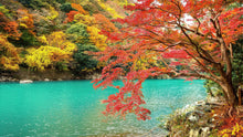 Load image into Gallery viewer, Colorful Teal Water Lake View Landscape Wallpaper Mural. #6745
