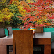 Carregar imagem no visualizador da galeria, Colorful Teal Water Lake View Landscape Wallpaper Mural. #6745