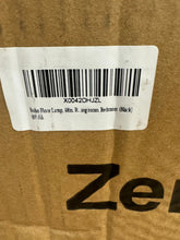 Load image into Gallery viewer, Boho Floor Lamp, 68in. Rattan Floor Lamp with Rattan Shade, 3 Light Tree Standing Lamp for Bedroom,Nursery, E26 Socket, Living Room Floor Lamp for Rus