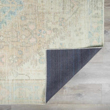 Carregar imagem no visualizador da galeria, Baloy Vintage Washable Rug