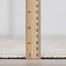 Carregar imagem no visualizador da galeria, Baloy Vintage Washable Rug