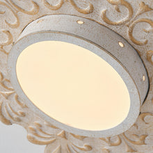 Carregar imagem no visualizador da galeria, 22 Inch White Modern Sunburst Flush Mount LED Lighting
