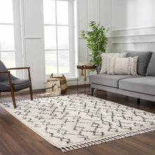 Load image into Gallery viewer, Pahala Moroccan Shag Area Rug - Clearance