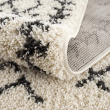 Carregar imagem no visualizador da galeria, Godalming Plush Area Rug