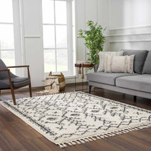Carregar imagem no visualizador da galeria, Godalming Plush Area Rug